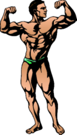 Bodybuilding